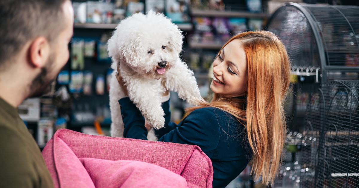 Estratégias para aumentar as vendas do pet shop