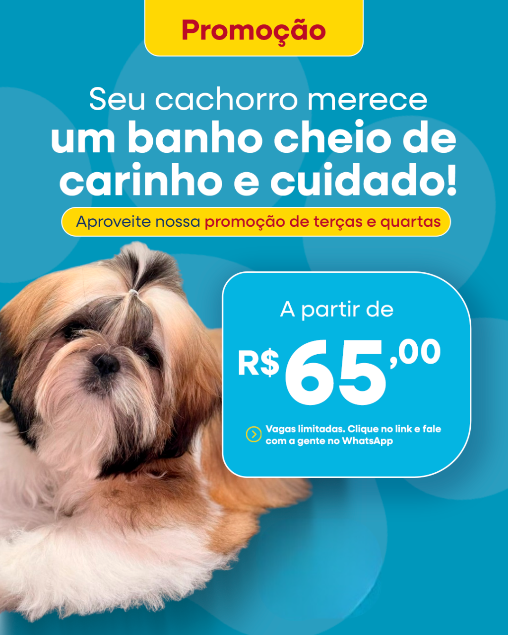 Marketing para o mundo pet
