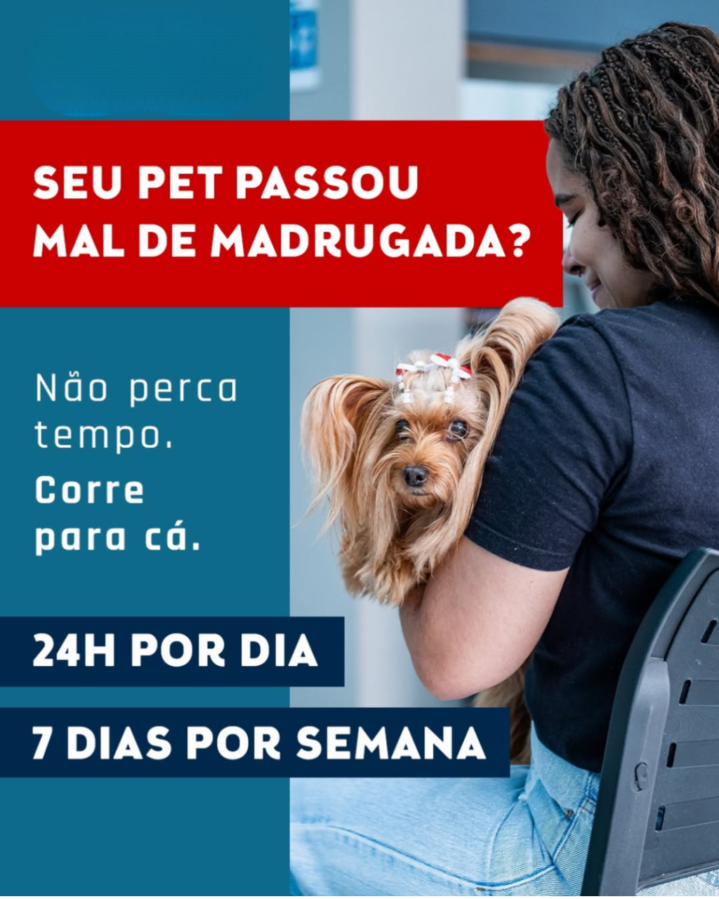 Marketing para o mundo pet