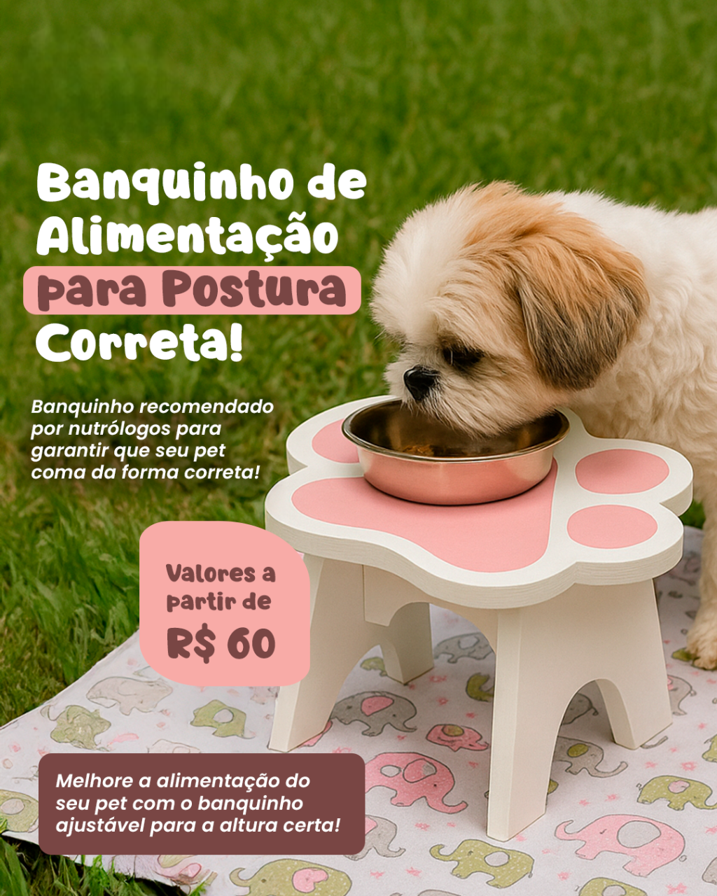 Marketing para o mundo pet
